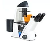 Inverted Microscope