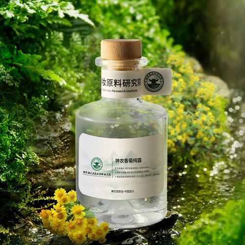 Wild Chrysanthemum Hydrosol