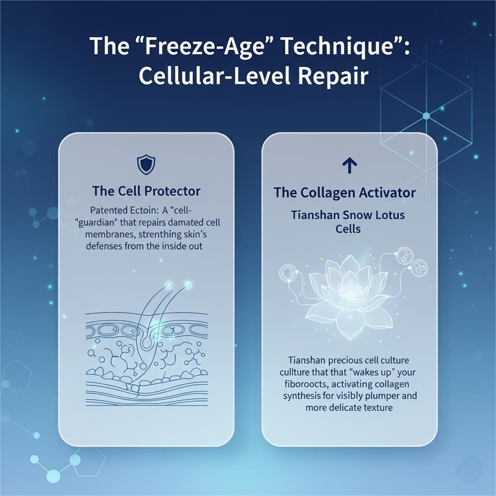 Cellular repair ectoin snow lotus