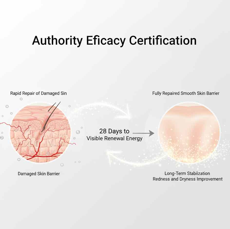 28 day rapid skin repair efficacy results